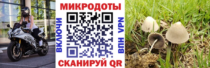 Галлюциногенные грибы ЛСД  где купить наркоту  маркетплейс Telegram  Южно-Сахалинск 